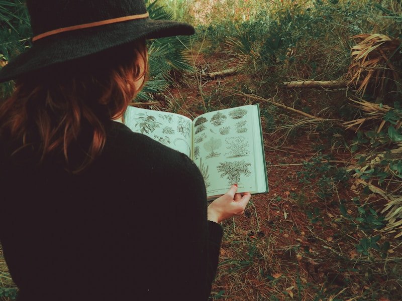 How FindRemind Keeps You Informed Every Day